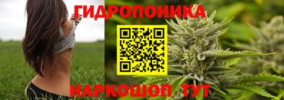 спиды Ливны